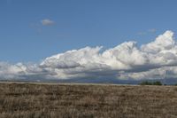 Rural Landscape: Open Space with Grassy Plain