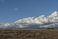 Rural Landscape: Open Space with Grassy Plain