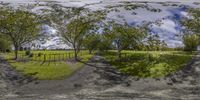 360 - view of an outdoor area with a paved road and sheep grazing on the grass