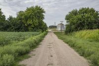the road is paved in between grass and trees in this rural landscape near a field with some silos