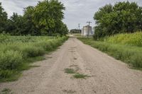 the road is paved in between grass and trees in this rural landscape near a field with some silos
