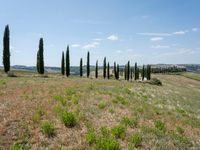 the countryside of the region of piedra di san francisco, as seen from a distance