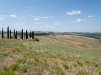 the countryside of the region of piedra di san francisco, as seen from a distance