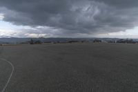 Rural Landscape: A Plain with Trees at Dawn