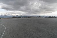 Rural Landscape: A Plain with Trees at Dawn