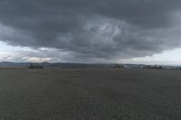 Rural Landscape: A Plain with Trees at Dawn