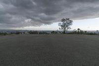 Rural Landscape: A Plain with Trees at Dawn