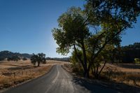 Rural Landscape Road: Agriculture and Farming in Clear Skies