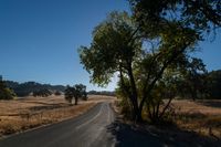 Rural Landscape Road: Agriculture and Farming in Clear Skies