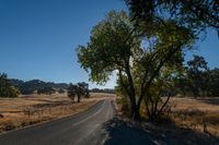 Rural Landscape Road: Agriculture and Farming in Clear Skies