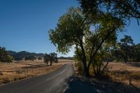 Rural Landscape Road: Agriculture and Farming in Clear Skies