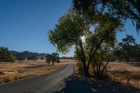 Rural Landscape Road: Agriculture and Farming in Clear Skies