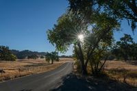 Rural Landscape Road: Agriculture and Farming in Clear Skies