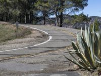 Rural Landscape: Road with Asphalt in California