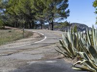 Rural Landscape: Road with Asphalt in California