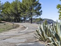 Rural Landscape: Road with Asphalt in California