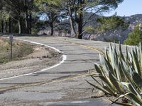 Rural Landscape: Road with Asphalt in California