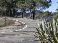 Rural Landscape: Road with Asphalt in California