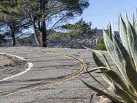 Rural Landscape: Road with Asphalt in California