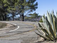 Rural Landscape: Road with Asphalt in California