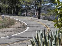 Rural Landscape: Road with Asphalt in California