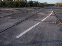 Rural Landscape Road: Asphalt Surrounded by Nature