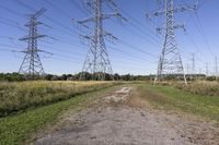 Rural Landscape: Road in Canada, Ontario