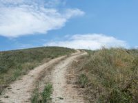 Rural Landscape Road: A Beautiful Day under Clear Skies