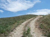 Rural Landscape Road: A Beautiful Day under Clear Skies