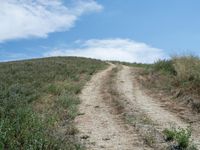 Rural Landscape Road: A Beautiful Day under Clear Skies