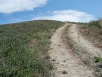 Rural Landscape Road: A Beautiful Day under Clear Skies