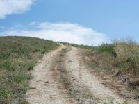 Rural Landscape Road: A Beautiful Day under Clear Skies