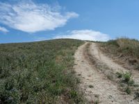 Rural Landscape Road: A Beautiful Day under Clear Skies