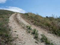 Rural Landscape Road: A Beautiful Day under Clear Skies