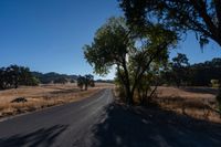 Rural Landscape: Road Through Farmland with Vegetation