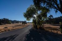 Rural Landscape: Road Through Farmland with Vegetation