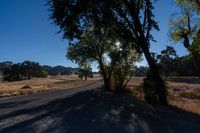 Rural Landscape: Road Through Farmland with Vegetation