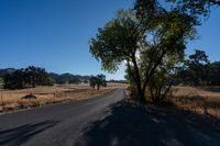 Rural Landscape: Road Through Farmland with Vegetation