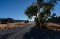 Rural Landscape: Road Through Farmland with Vegetation