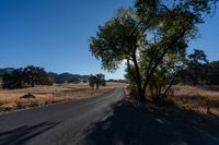 Rural Landscape: Road Through Farmland with Vegetation