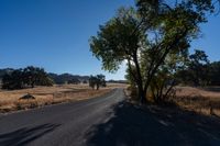 Rural Landscape: Road Through Farmland with Vegetation