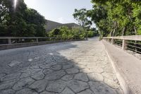 Rural Landscape Road in Mexico