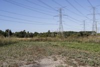 Rural Landscape with Road and Power Line in Ontario, Canada