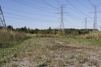 Rural Landscape with Road and Power Line in Ontario, Canada