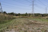 Rural Landscape with Road and Power Line in Ontario, Canada