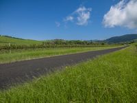 a street sign for road is posted in the grass by a hill side road,