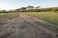 the road has been cut off from the land and is lined up with trees, bushes and grass