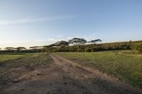 the road has been cut off from the land and is lined up with trees, bushes and grass