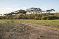 the road has been cut off from the land and is lined up with trees, bushes and grass