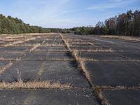 a parking lot with multiple rows of dried grass on one side and the ground with sparse patches of dirt in front of some trees